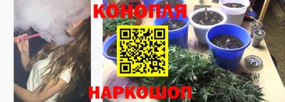 метадон Новозыбков
