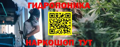 каннабис Новодвинск