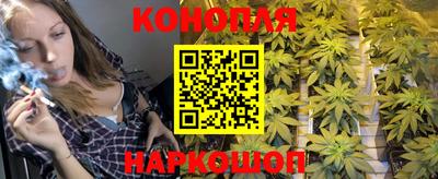метадон Новозыбков
