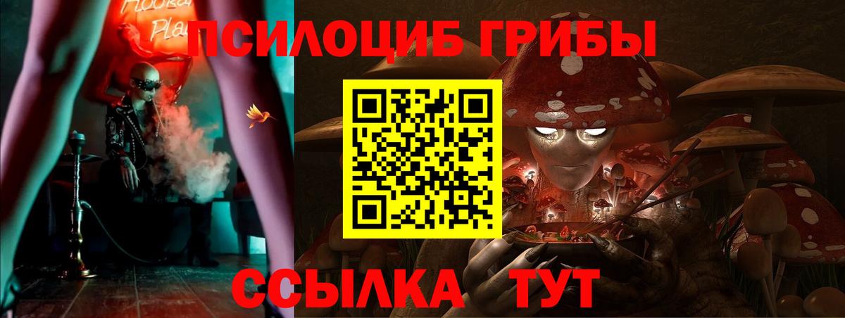 Советская Гавань  Псилоцибиновые грибы MAGIC MUSHROOMS  Псилоцибиновые грибы мицелий  Вход с VPN 